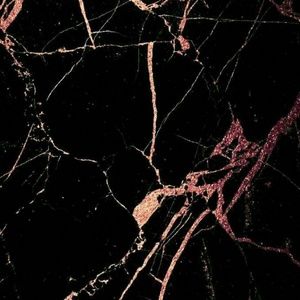 Meet your Posher, Paulette